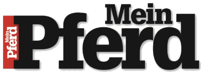 Mein Pferd